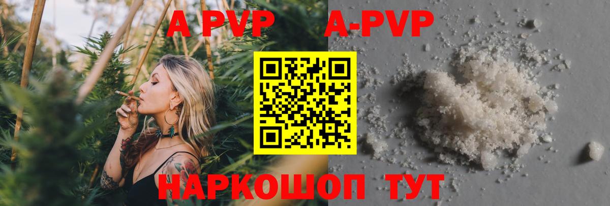 Alfa_PVP СК КРИС Камышин