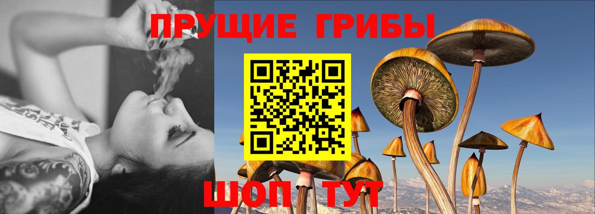 Галлюциногенные грибы GOLDEN TEACHER Камышин